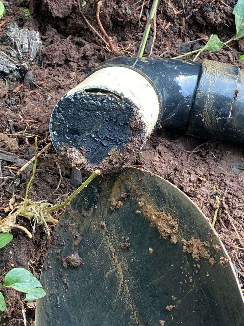 Plugged septic pipe