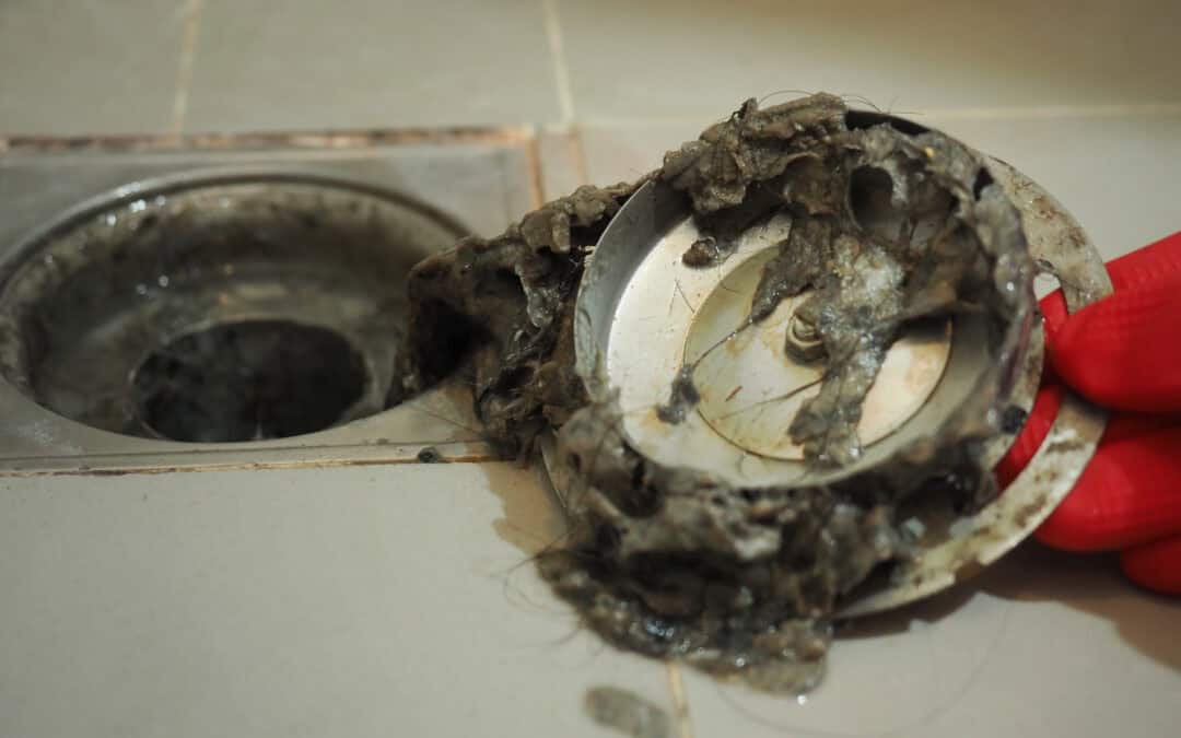 7 Common Sewer & Drain Problems in Hamilton Homes (and How to Prevent Them)