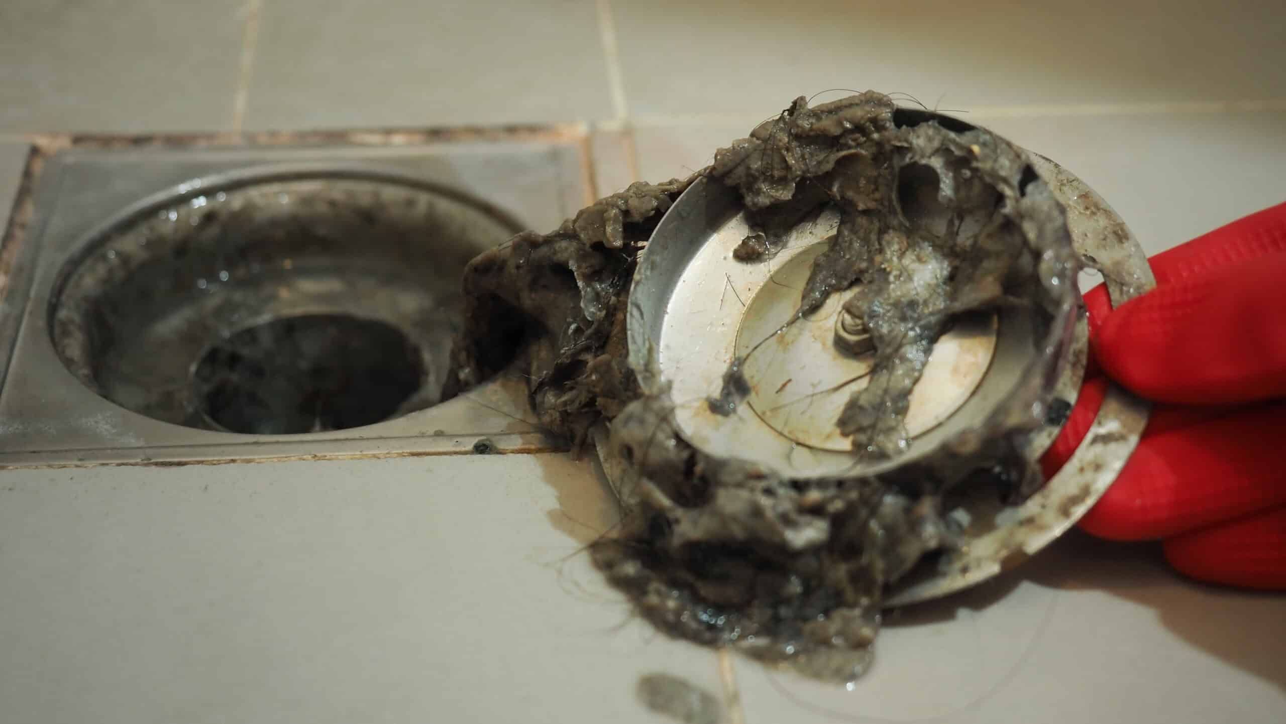 Clogged shower drain cover being removed by a gloved hand, showing a buildup of hair, soap scum, and debris causing blockage.