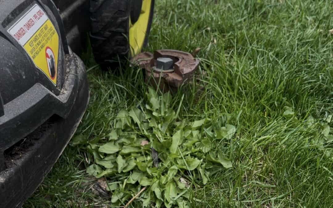 What Happens When a Curb Box Becomes a Lawn Hazard?