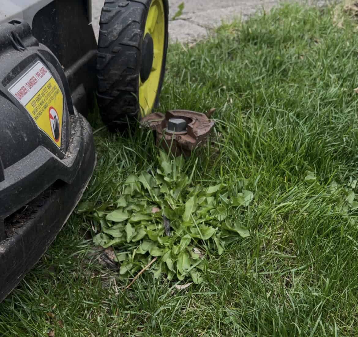 Elevated curb box lawnmower on grass, next to an elevated curb box cap that clearly poses a tripping hazard.