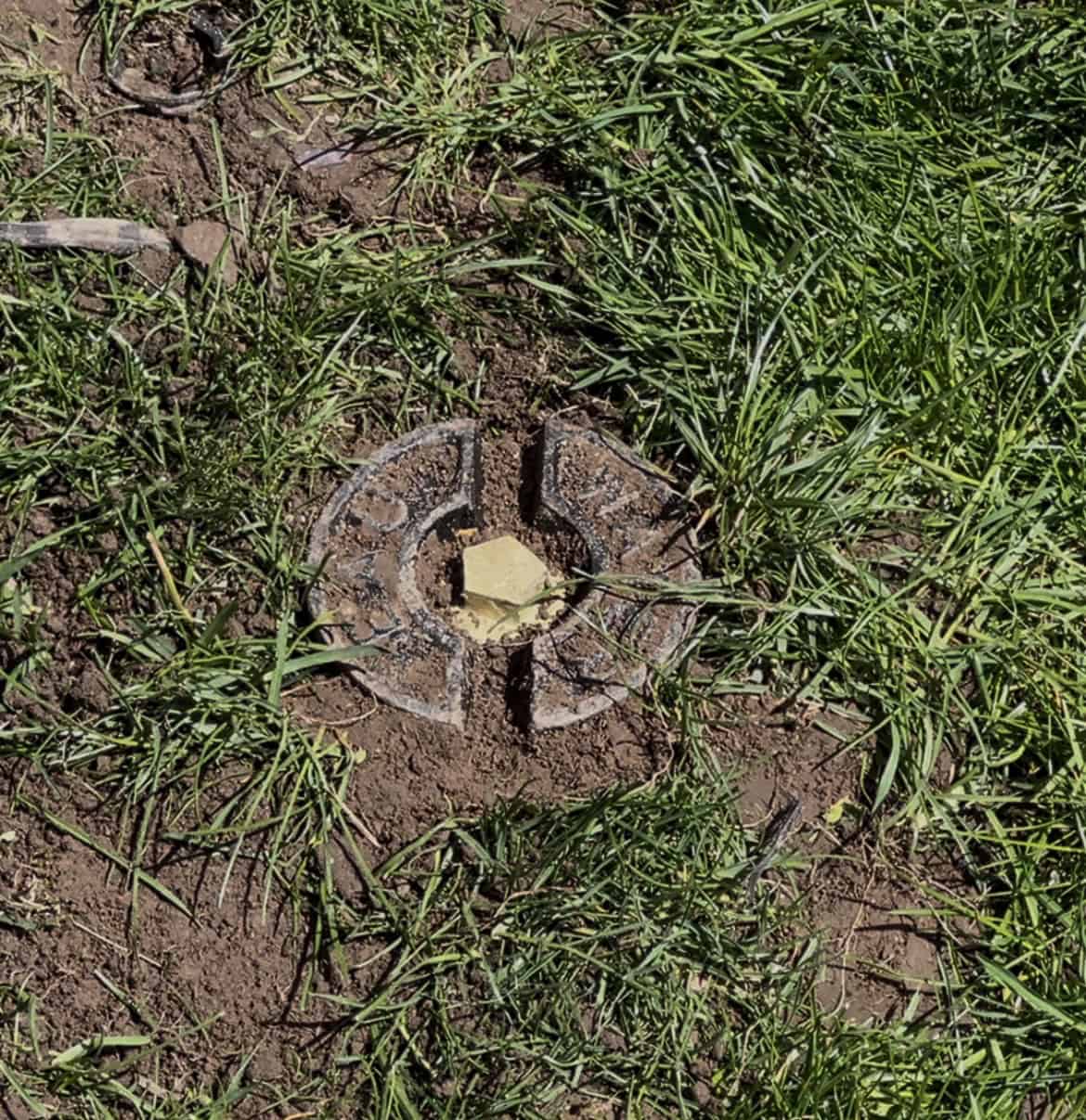 Curb box flush with grass Curb box cap that is flush with the grass.